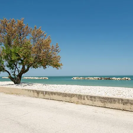 Ostriche - Yourplace Abruzzo