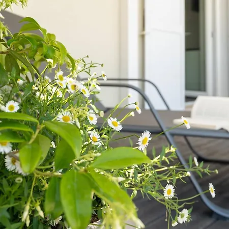 Ostriche - Yourplace Abruzzo Apartment *