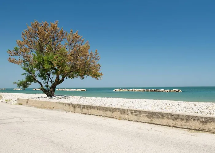 Ostriche - Yourplace Abruzzo