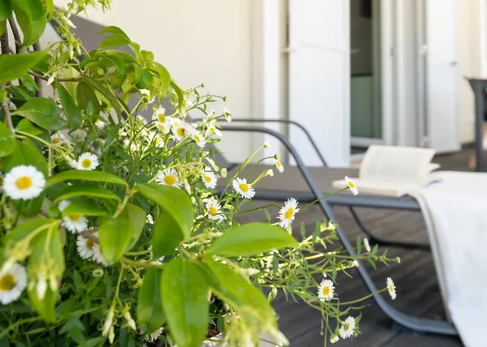 Ostriche - Yourplace Abruzzo דירה *